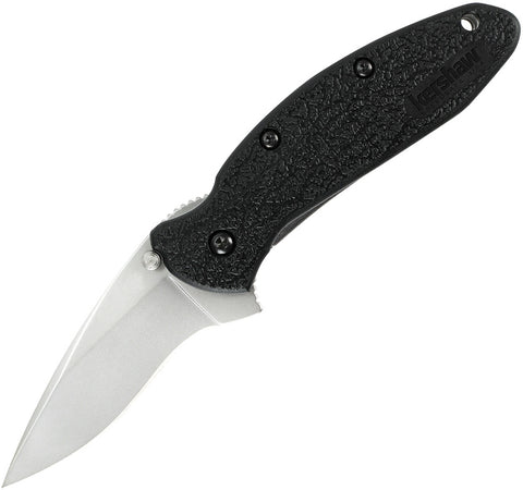 Kershaw Scallion Linerlock A/O