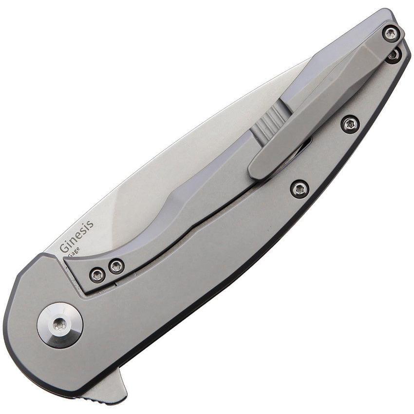 Kizer Cutlery Ginesis Framelock